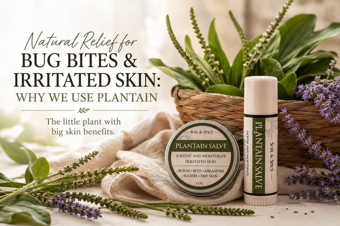 Natural Relief for Bug Bites & Irritated Skin: Why We Use Plantain